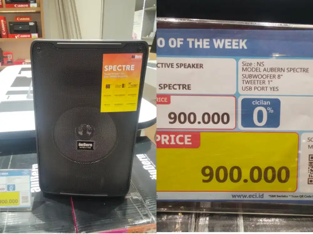 AUBERN ACTIVE SPEAKER