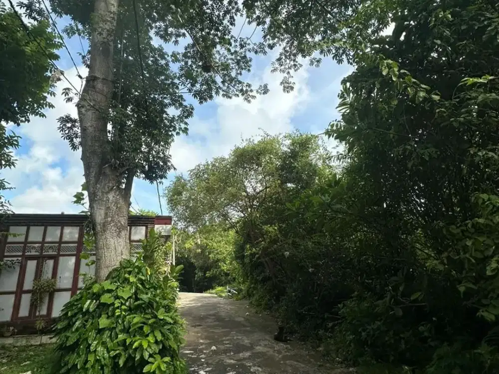 TANAH 5 ARE DIJUAL – AREA PECATU.