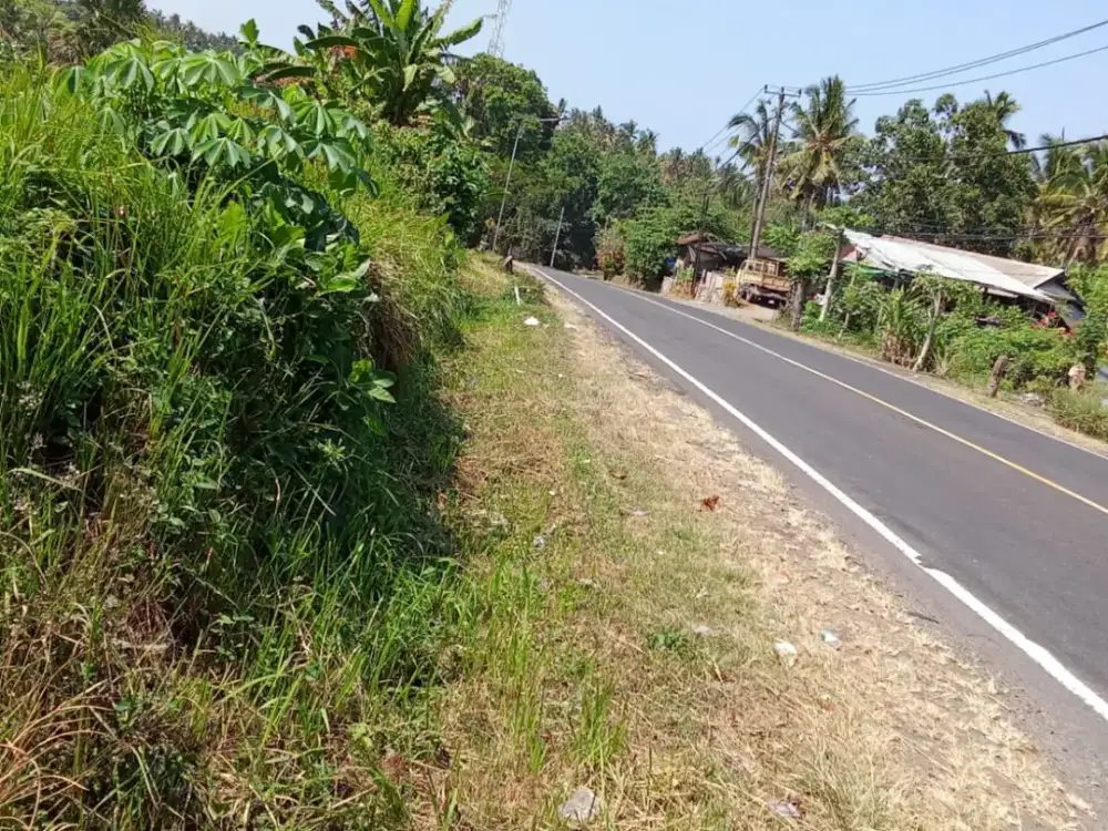 Dijual Tanah Strategis dengan View Sawah dan Bukit