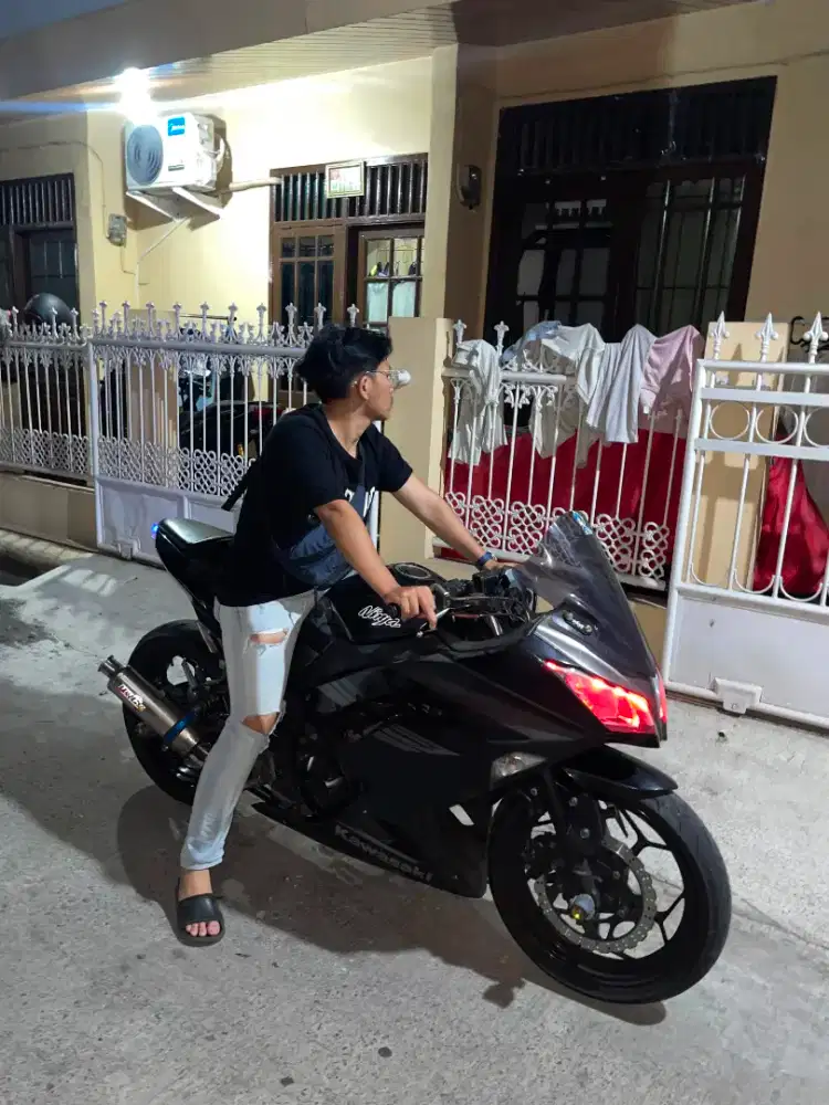 Ninja FI 250 2017