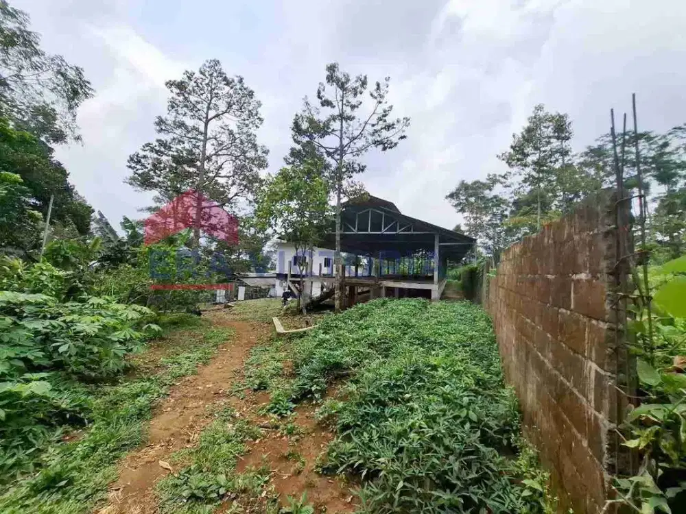 tanah luas dijual di dawuhan sengon pasuruan jatim