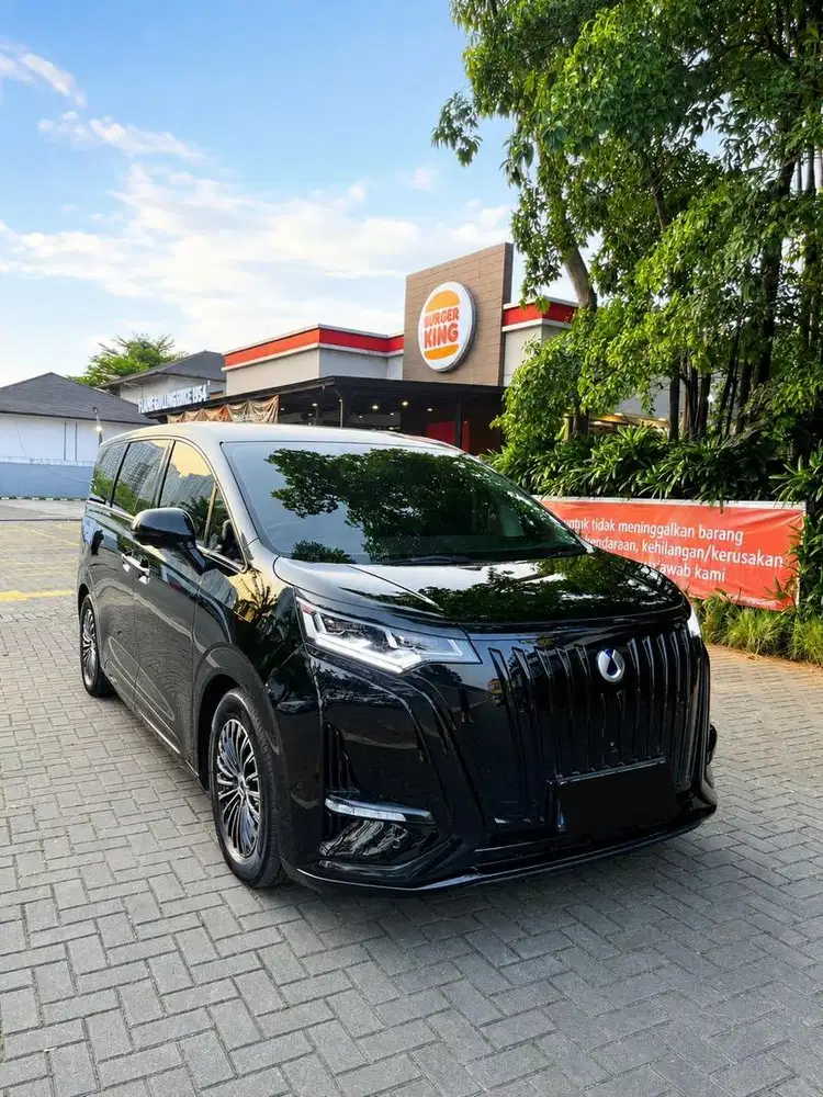 Byd Denza D9 2025 AT