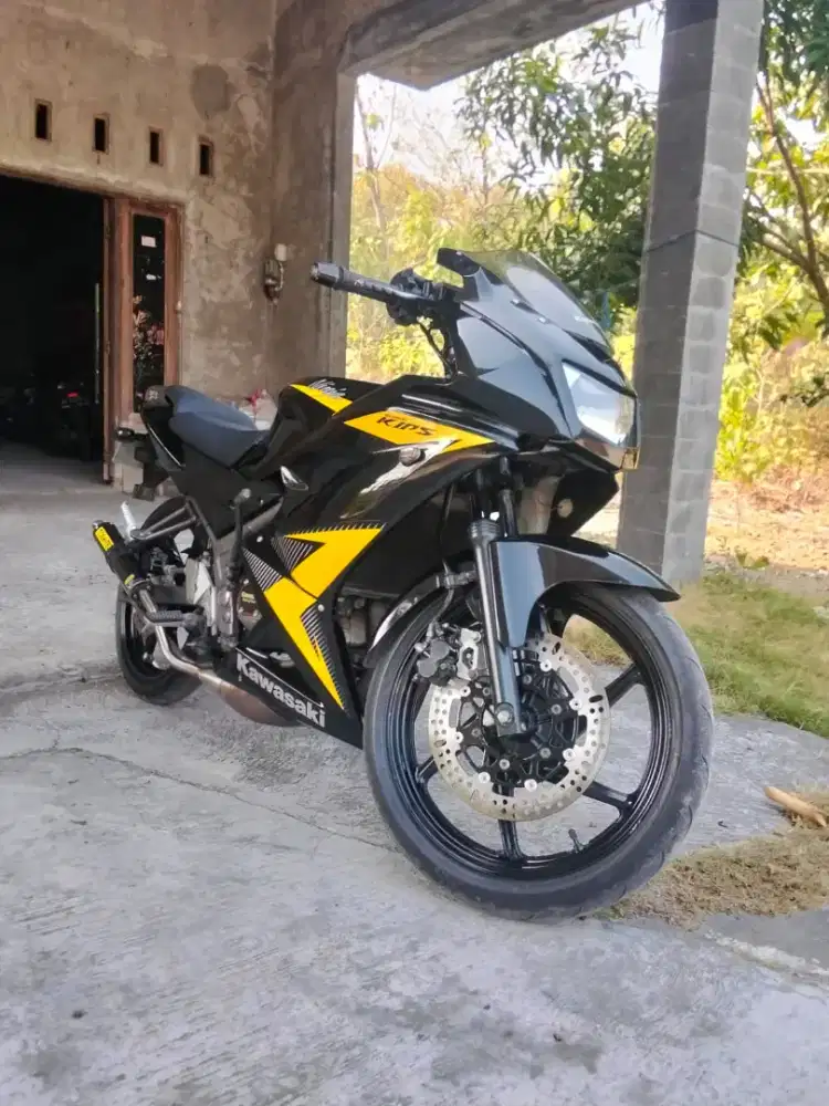 Ninja Rr new 2014