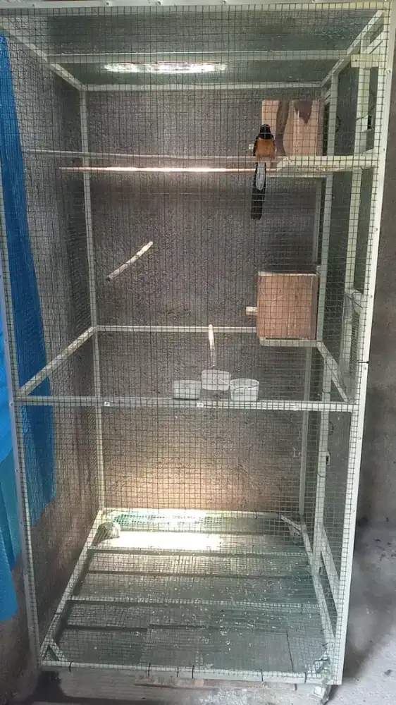 Di jual kandang ternak murai kondisi bagus