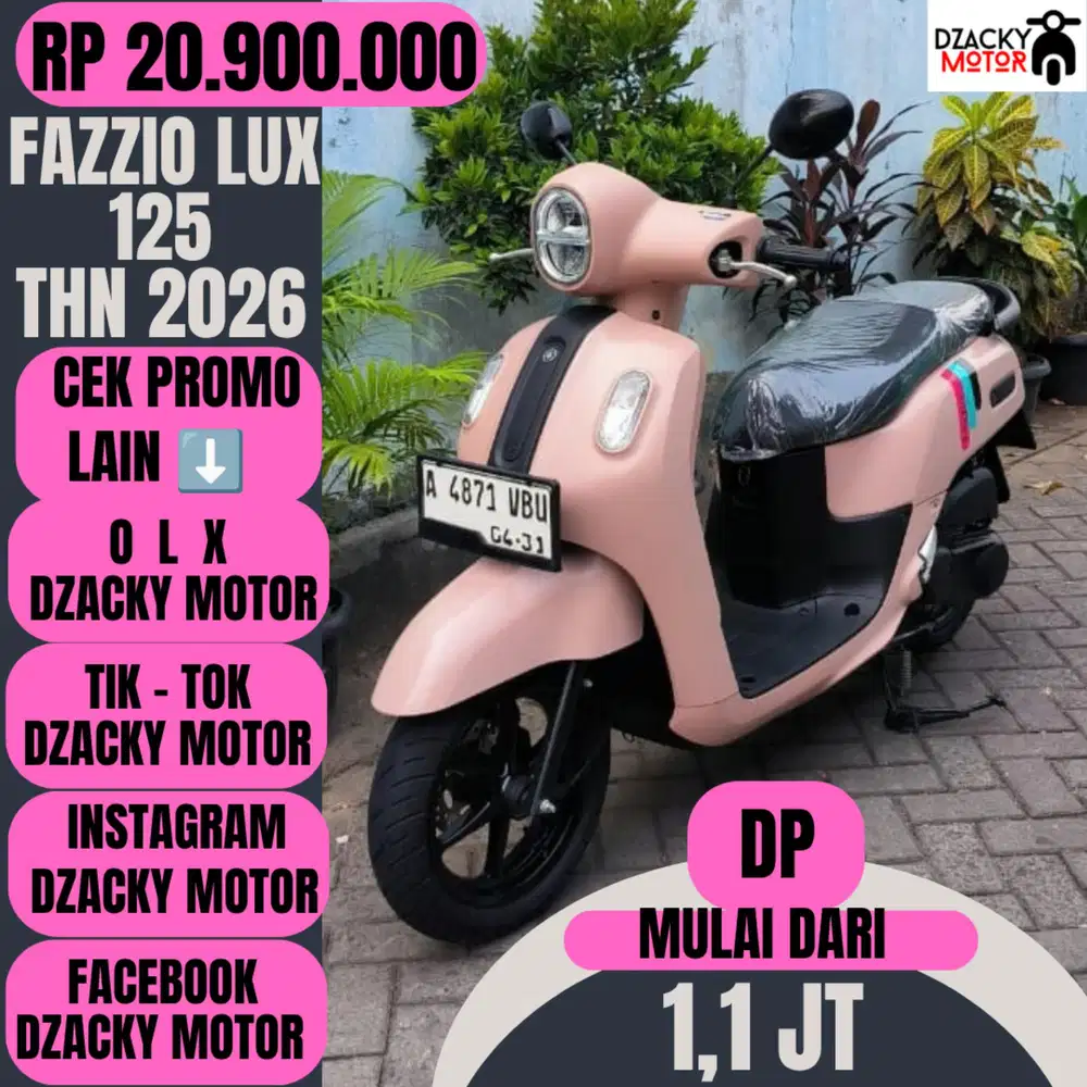 FAZZIO LUX THN 2026
