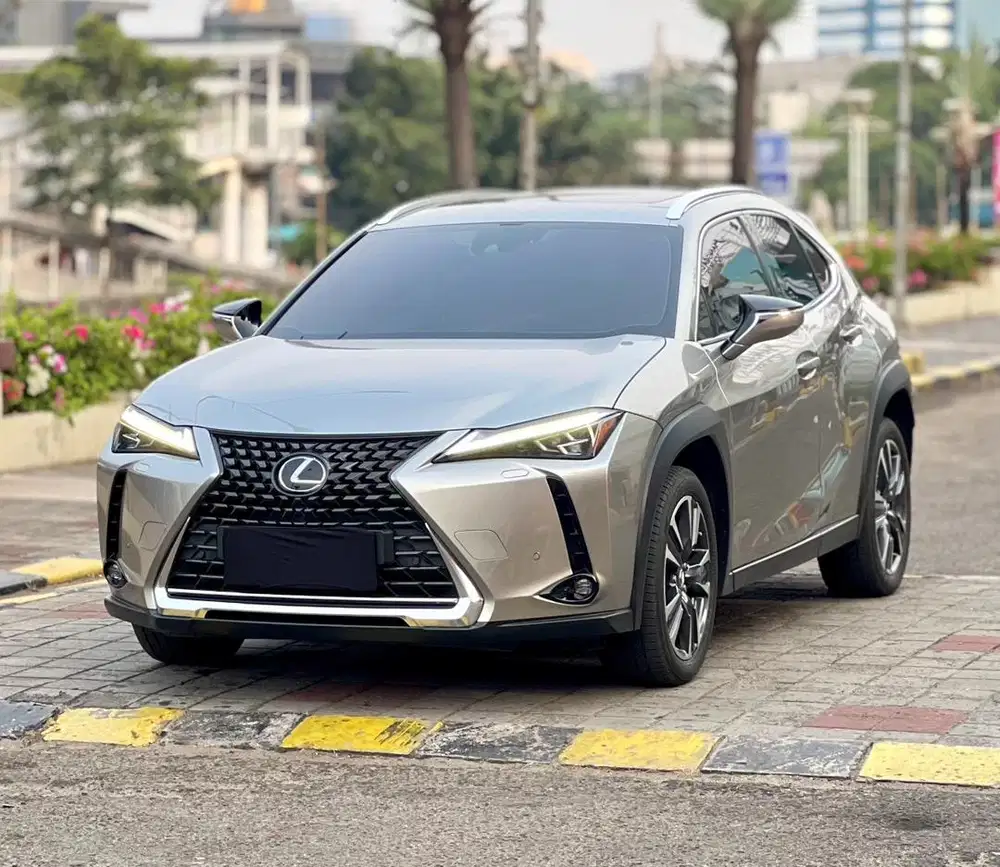 Lexus UX250h 2022 / Odo 27rbu Kilometer