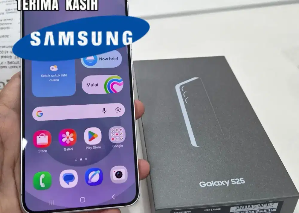 Samsung Galaxy S25 basic
