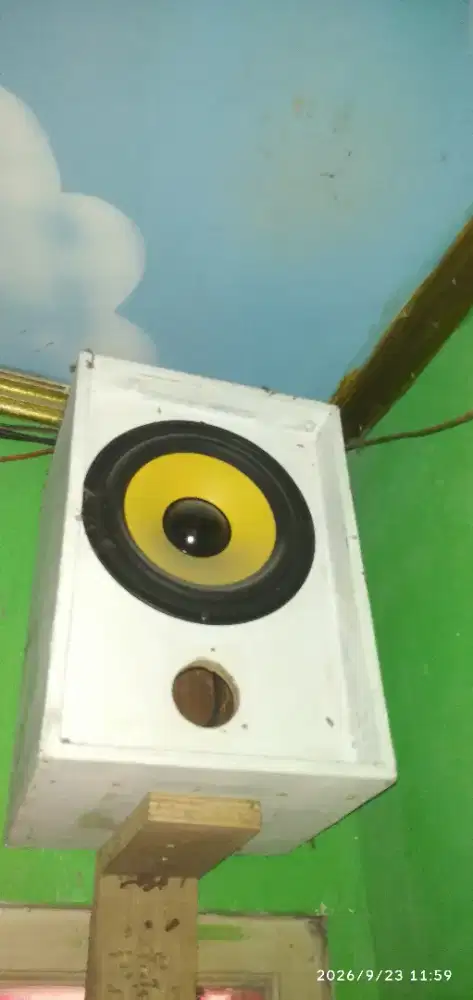 speaker pasif woofer 8 inch