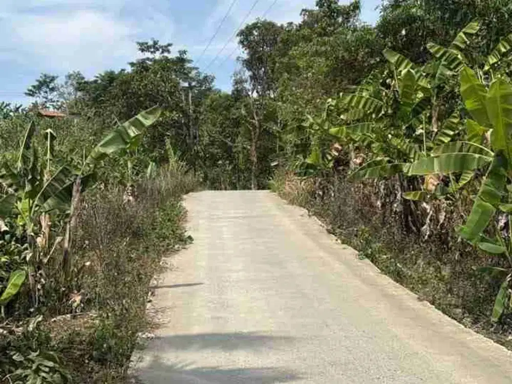Jalan Besarcibadak, Cibadak, Tanjungsari, kab Bogor. Tanah pinggir jalan kampung dijual