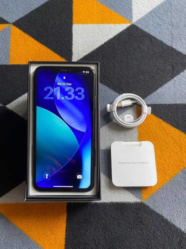Iphone 11 promax 256 GB Inter