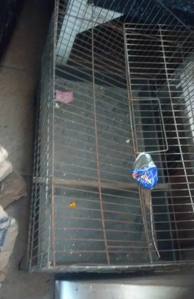 Di jual aja kandang mandi burung