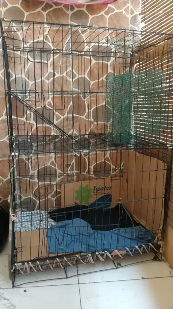 Kandang kucing tingkat 2