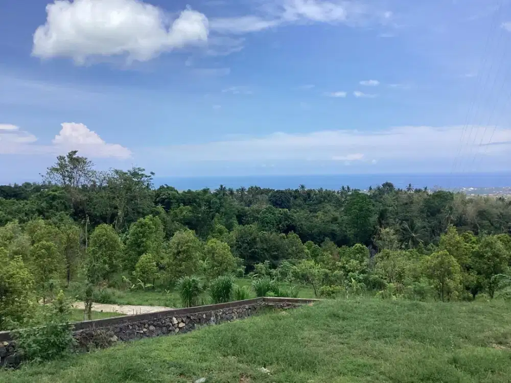 For sale 500 M2 ocean view land just 450 juta gpobal