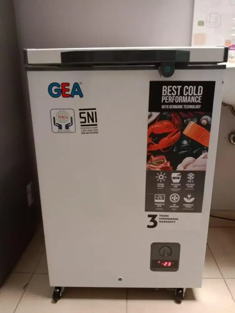 Freezer Box Gea 100 Liter