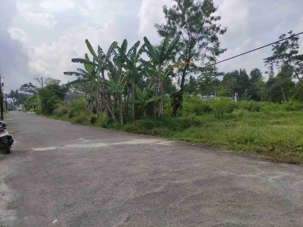 MURAH!! BU! Tanah Premium Di jl. Kaliurang Dekat ( 100 meter ) Kampus UII