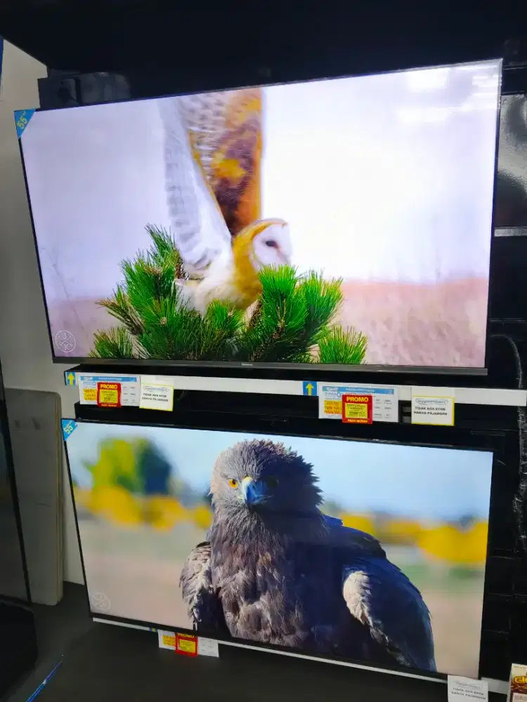 televisi premium