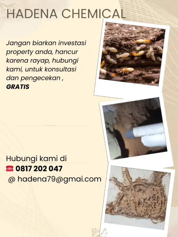 Jasa anti rayap  & pest control Jakarta
