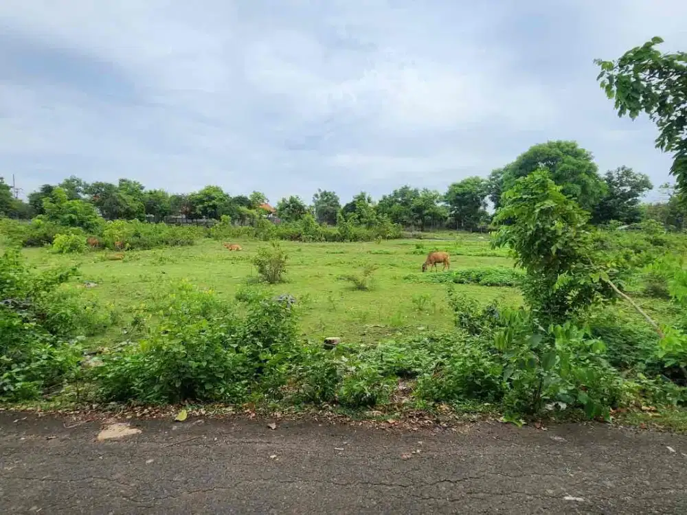 Dijual Tanah Dekat Pantai Balangan
