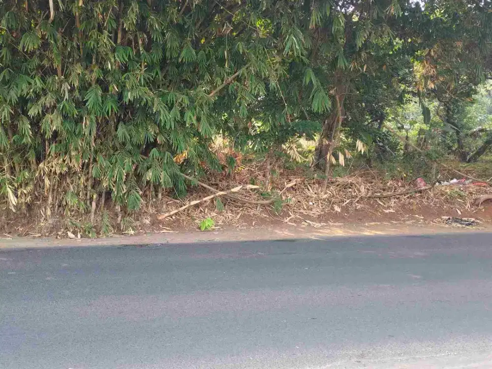 jual tanah dijln burangkeng setu bekasi