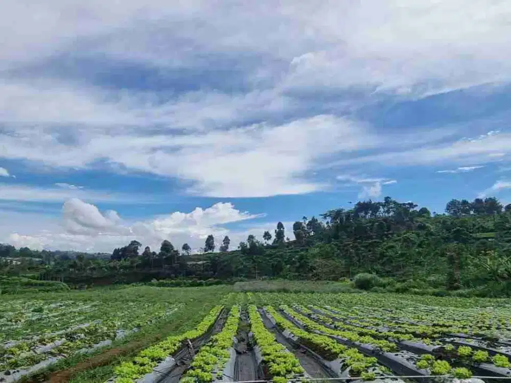 Tanah Cikalong wetan bandung barat