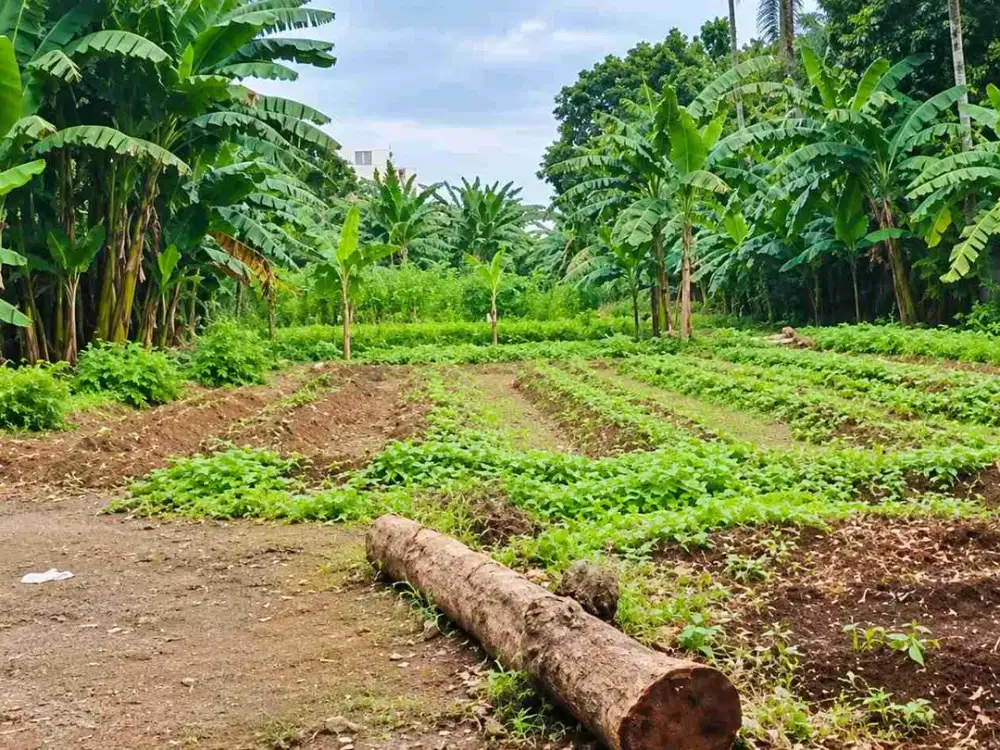 Dijual Tanah di Pinggir Jalan Raya Ciater Serpong, Tangerang Selatan