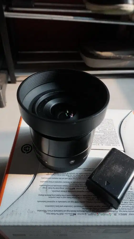 Sigma 19mm F2.8 E-mount