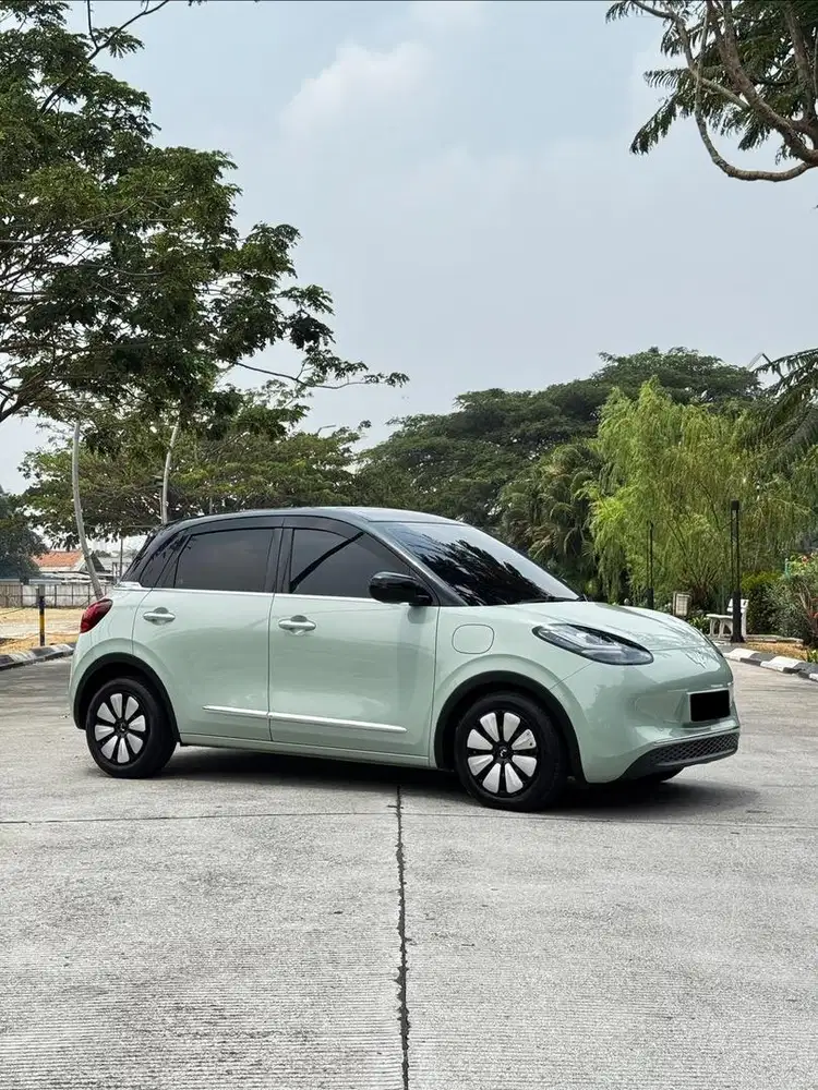 Wuling Binguo Long Range EV 2024