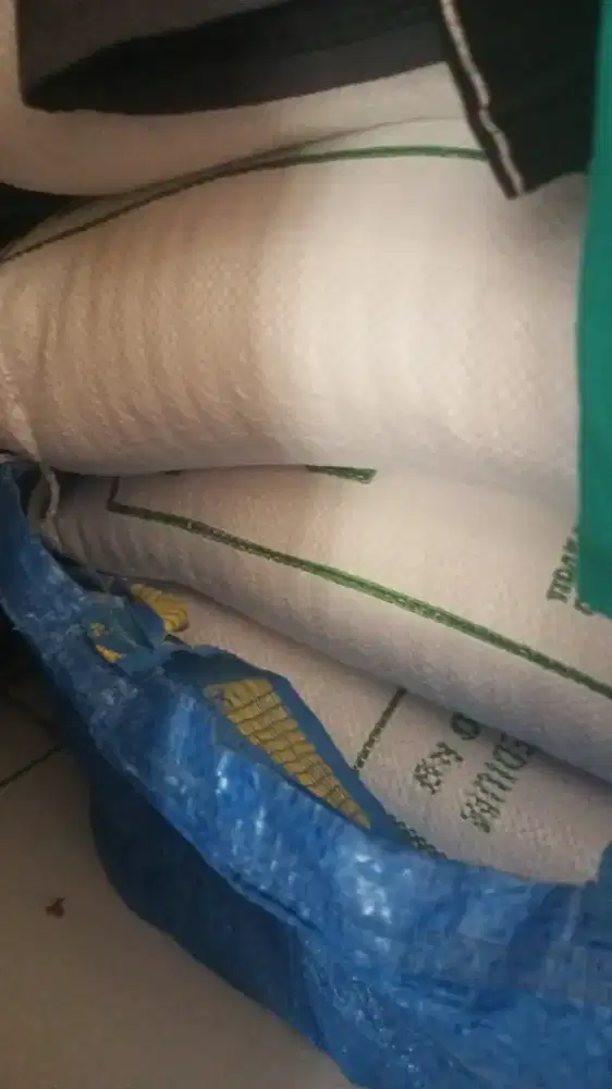 Beras Bulog 10kg