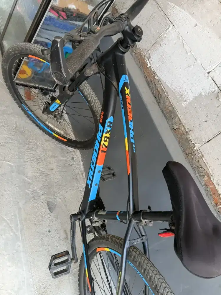 Sepeda gunung phoenix179XR