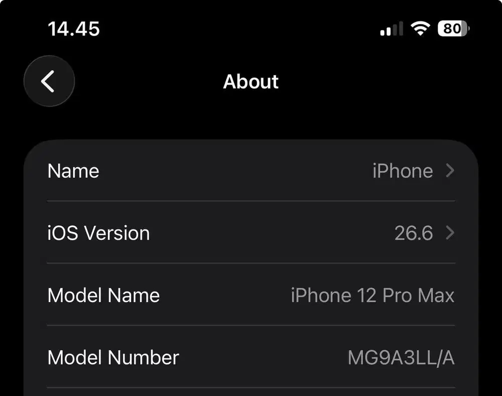 Iphone 12 Promax