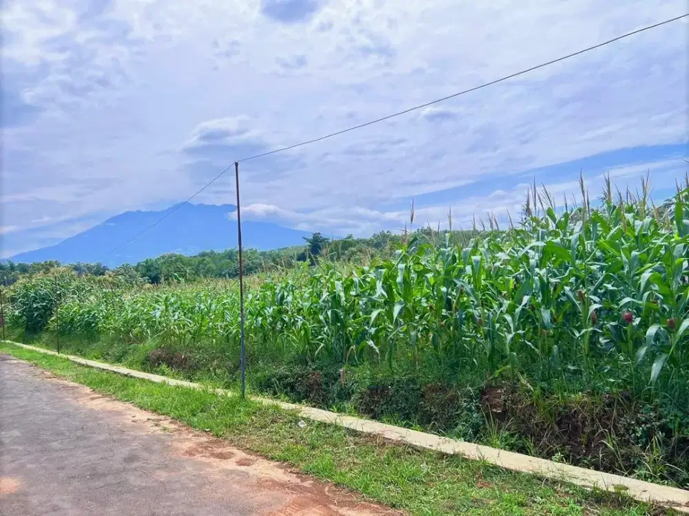 Tanah 1770m2 Strategis View Gunung Lawu, Kerjo, Karanganyar