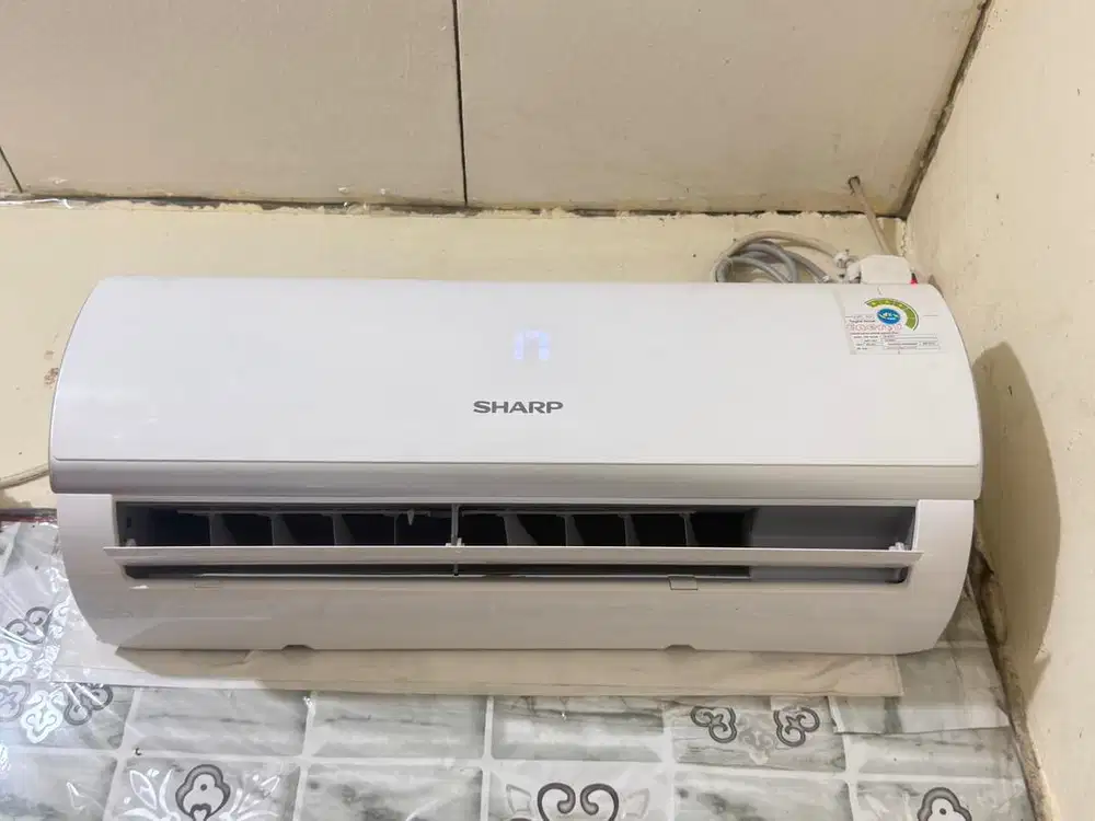 Ac Sharp 1/2 Pk