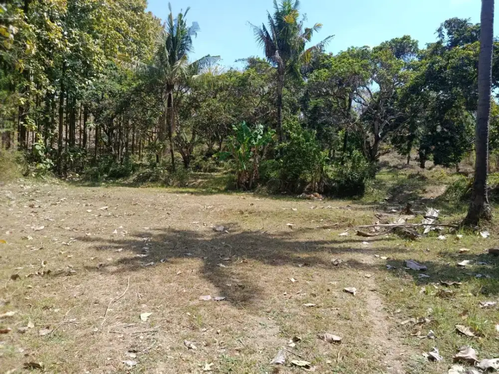 Dijual Lahan Strategis di Anturan Lovina
