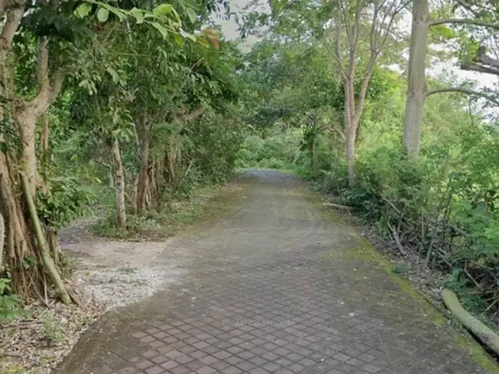 Bangun Rumah Impian Desain di Kavling Ini! Lokasi Uluwatu Bali