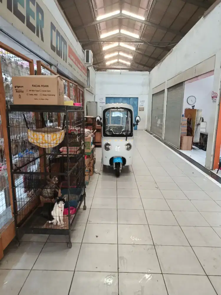 Sepeda listrik saige 3 roda novus