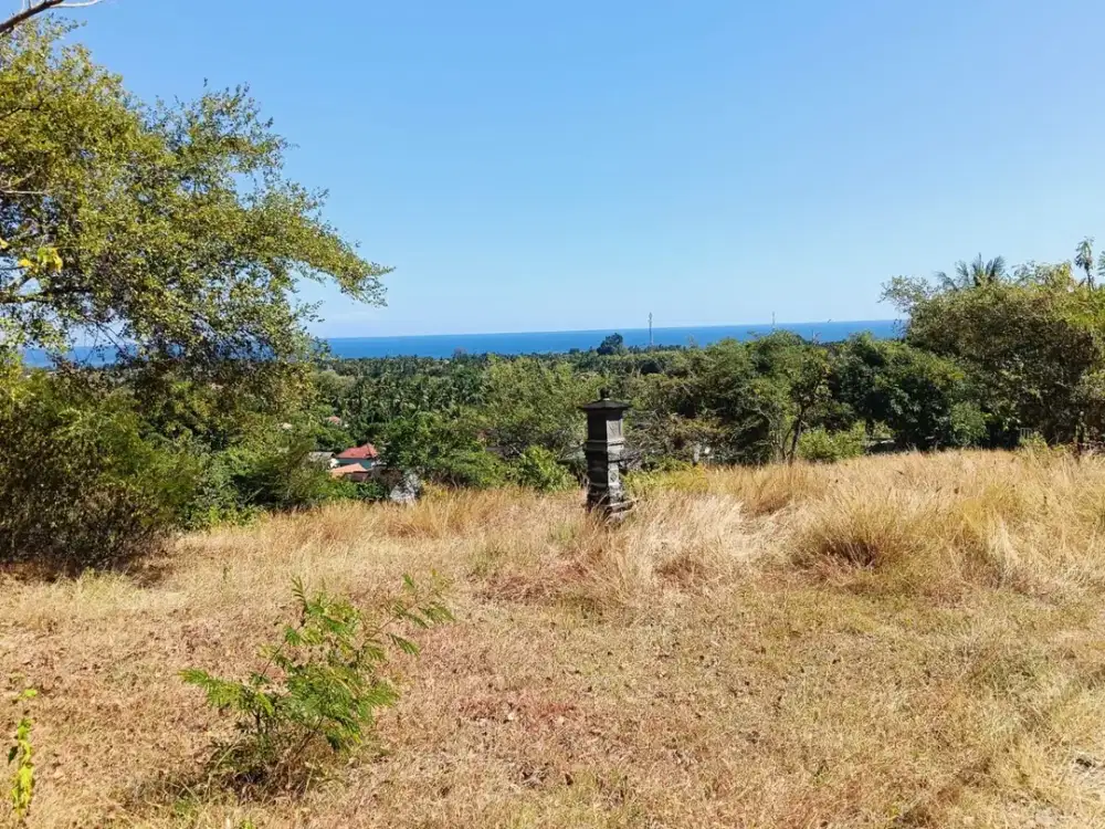 DIJUAL TANAH STRATEGIS DI LOVINA, BULELENG BALI