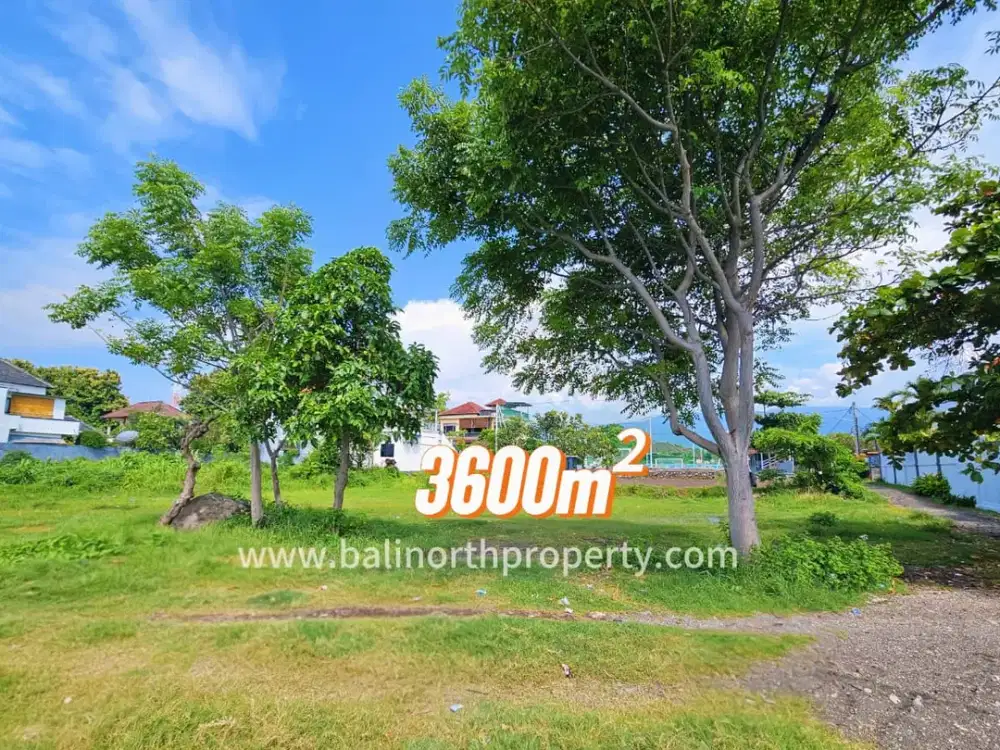 TANAH BEACHFRONT LOVINA BULELENG BALI UTARA