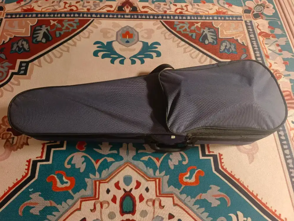 Biola Akustik Skylark Size 4/4