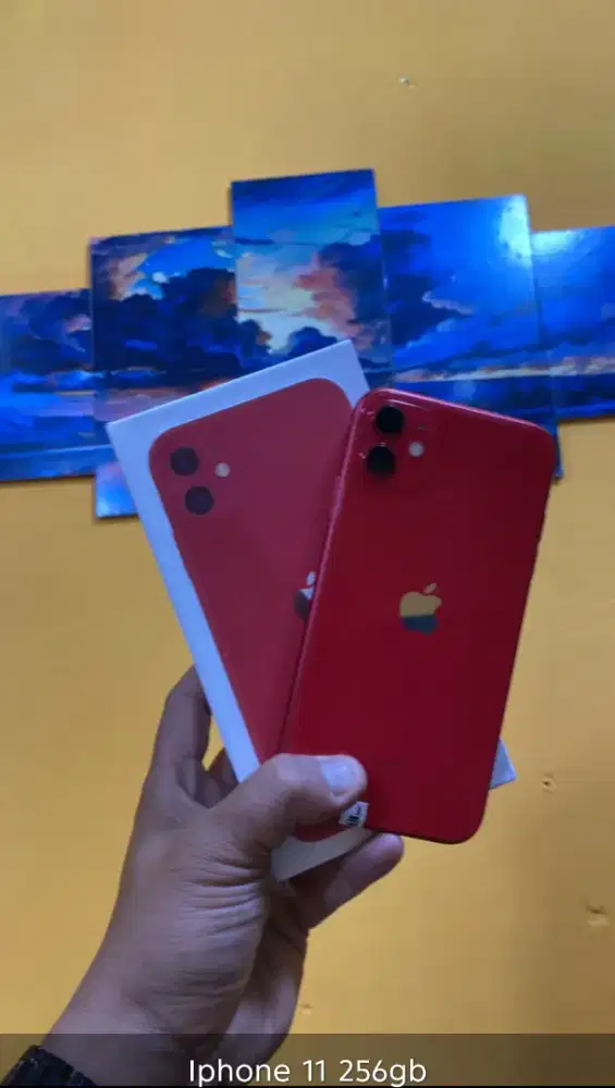 Iphone 11 256gb Allprovider