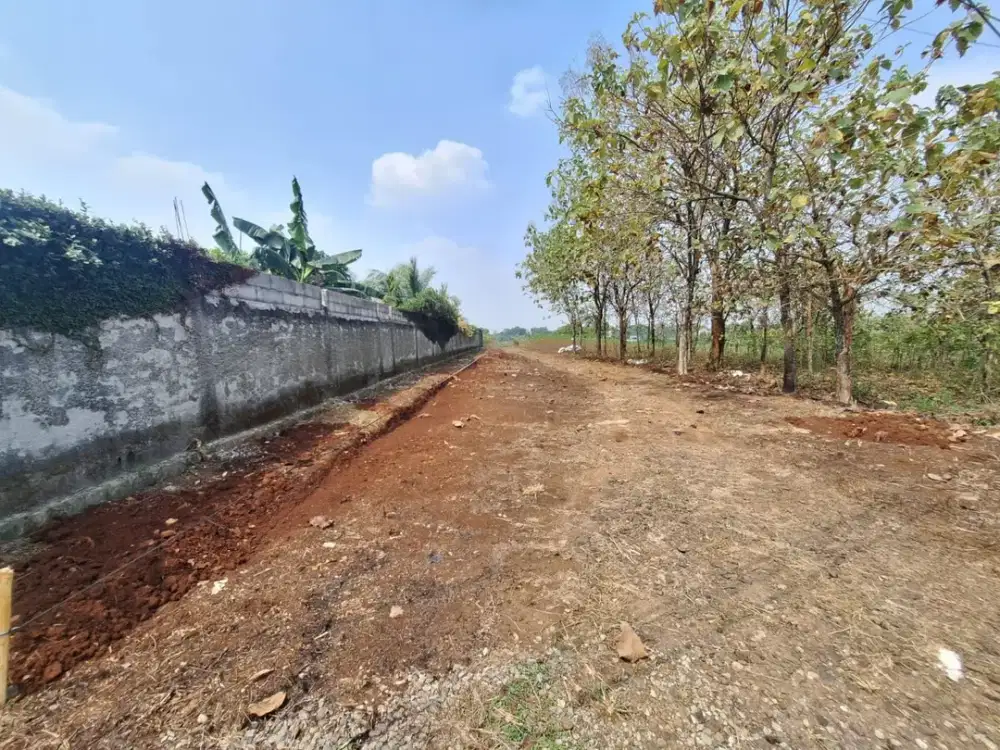 Dijual Kavling Tajur Halang 8 Menit Jl.Raya Bojonggede-Kemang (Bomang)