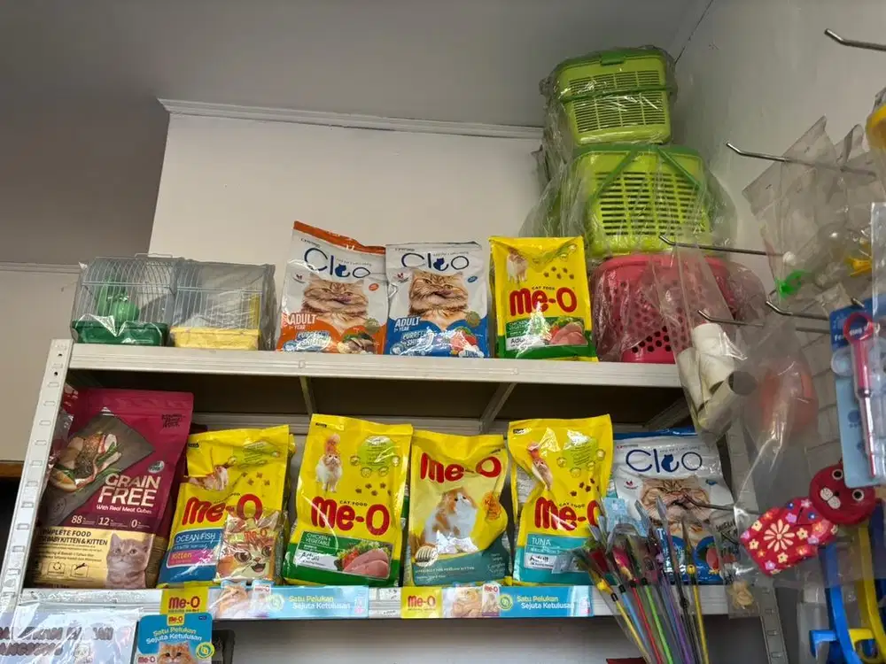 Karyawan pet hotel dan kost putri