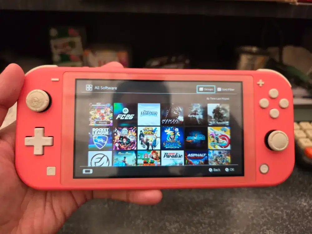 Nintendo Switch Lite 256 gb full game