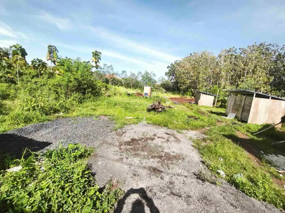disewakan tanah luas 4 are IDR 12 juta /are /th kawasan Pandawa beach kutuh kuta selatan badung bali