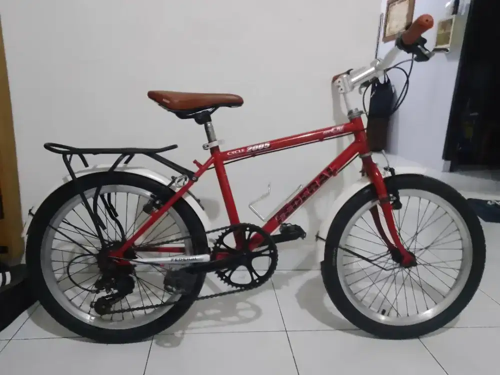 Sepeda federal 20