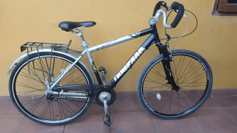 ((POLYGON))ORION HYBRID VINTAGE KALCER