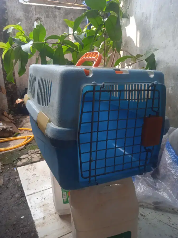Pet Cargo/ kandang kucing, ukuran P48 cm, L30 cm dan T30 cm.