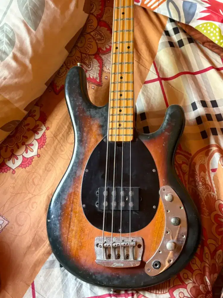 Bass musician Stringray