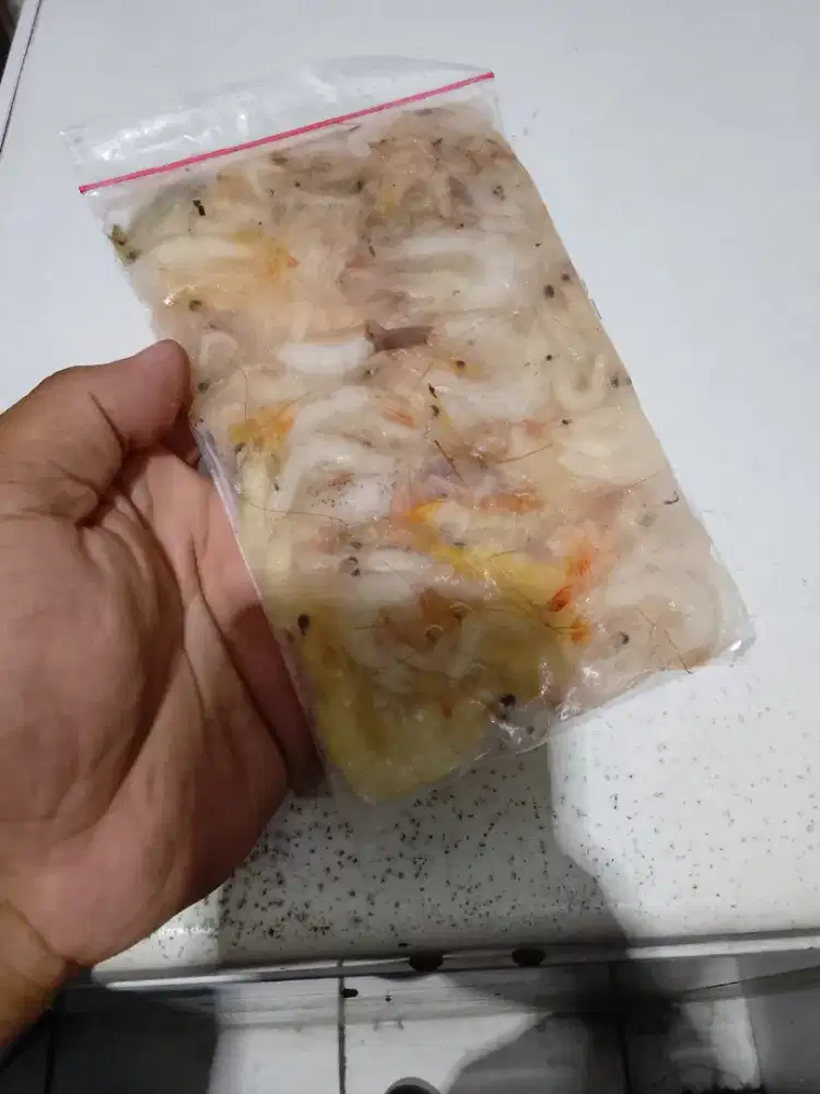 Udang api beku untuk pakan ikan arwana