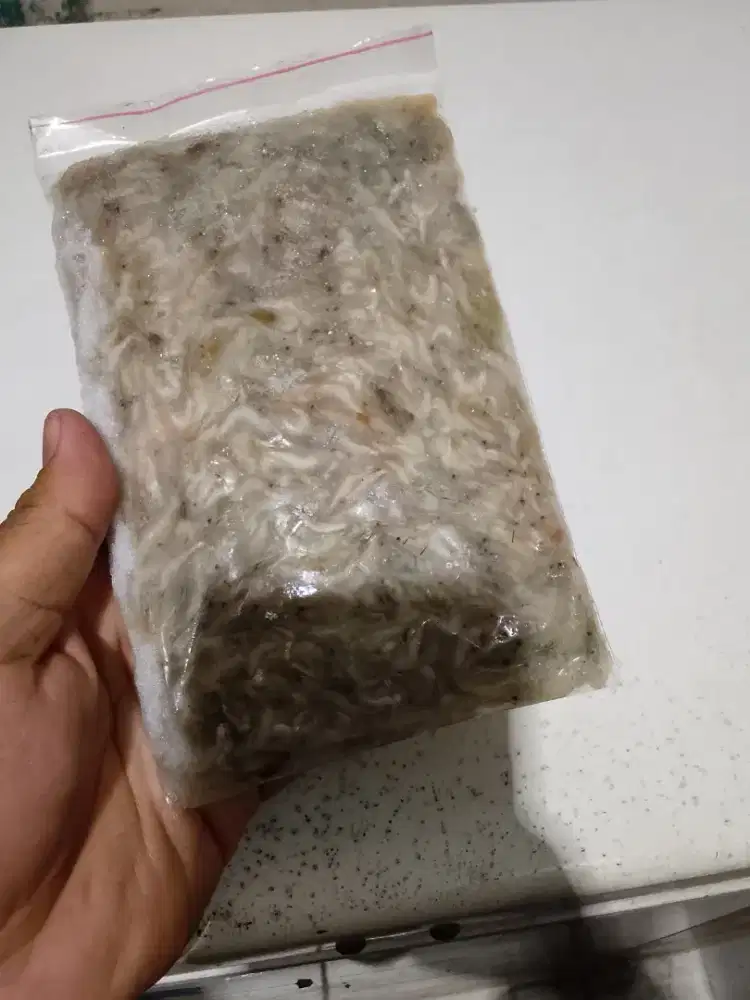 Udang sawah beku