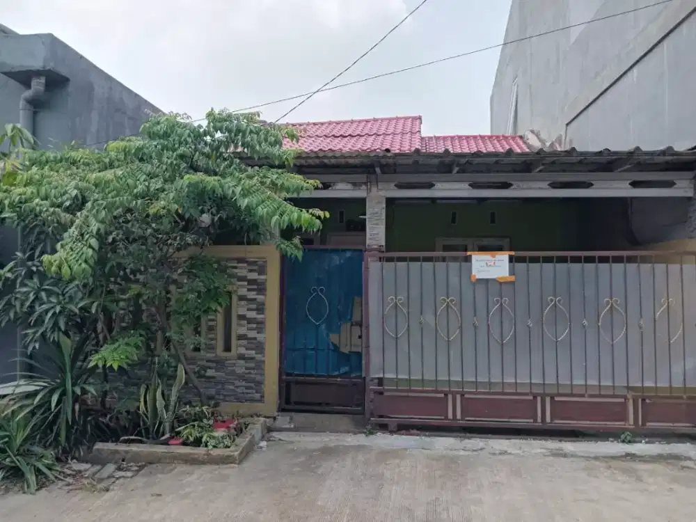Rumah disewakan